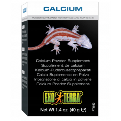 EXO TERRA Calcium 90g bez D3 wapno wapń